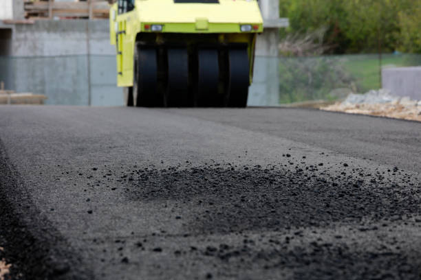 Best Residential Paver Driveway  in Port Barrington, IL