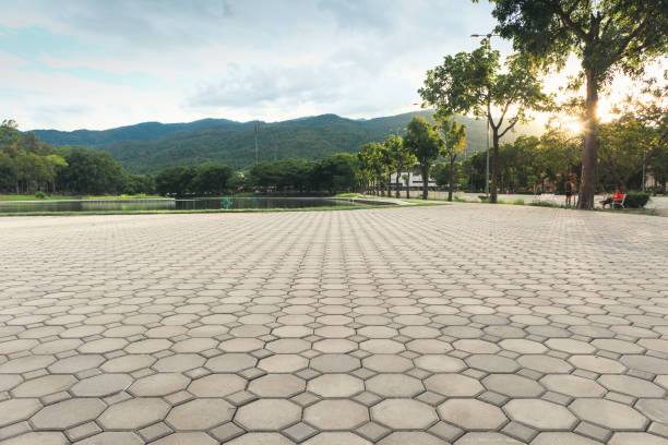 Best Cobblestone Driveway Pavers  in Port Barrington, IL